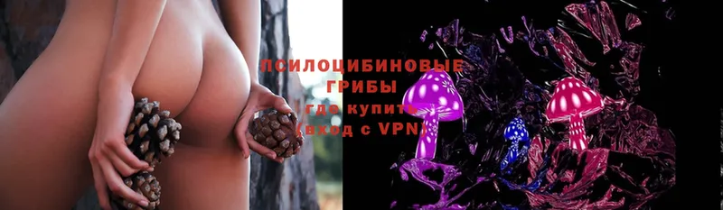 Галлюциногенные грибы Psilocybe  Дюртюли 